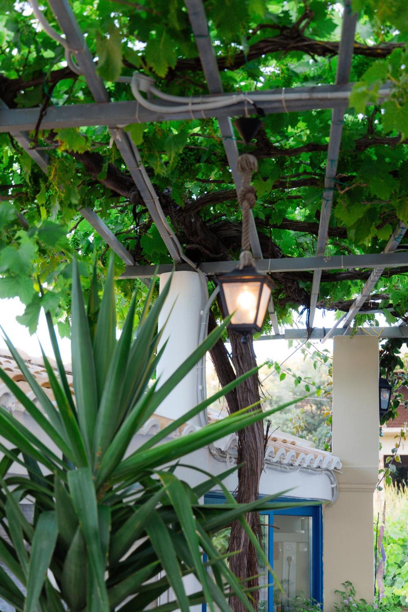 Sunsea Wellness Resort Agios Stefanos Avliotes  Exteriör bild