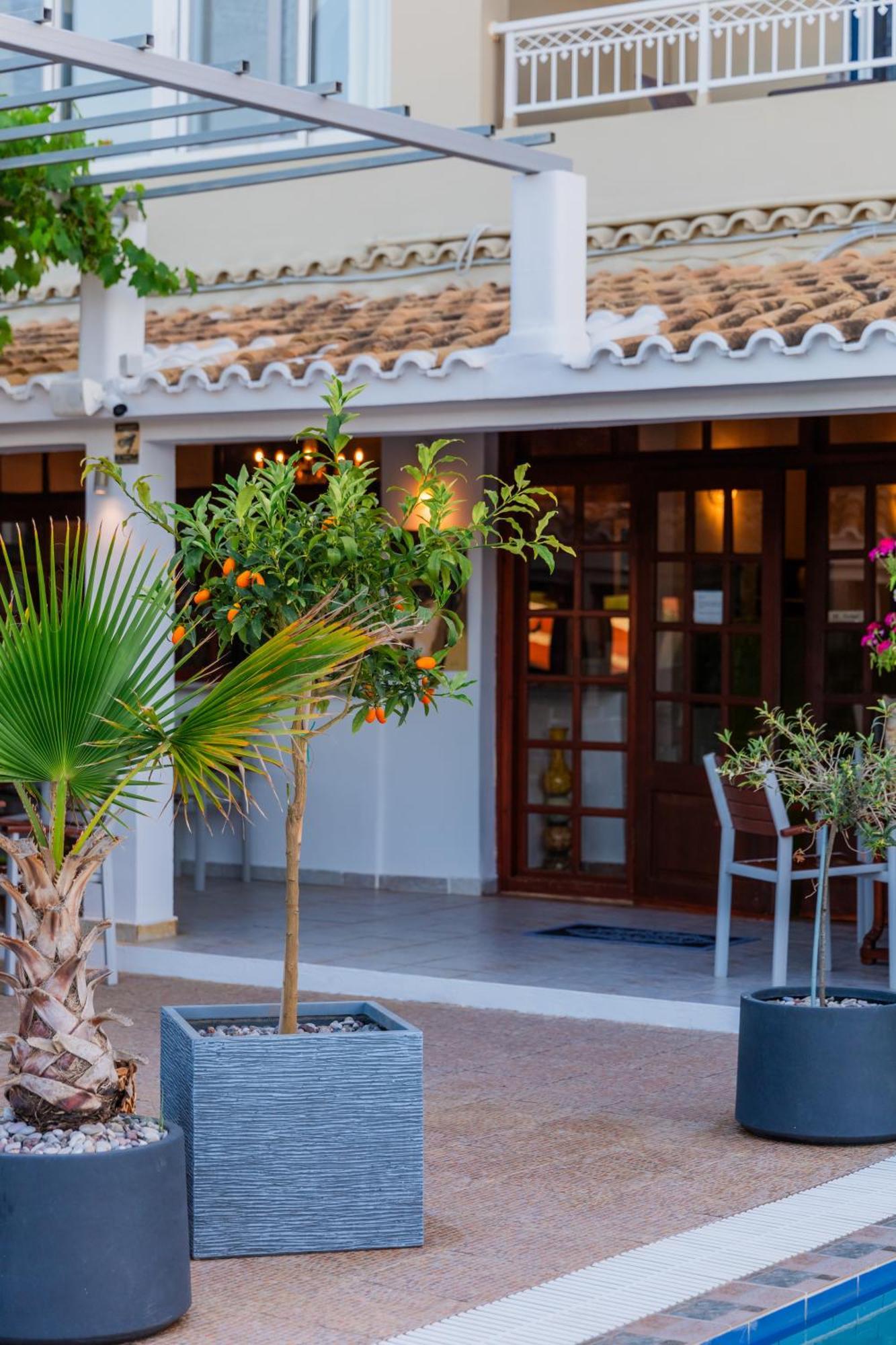 Sunsea Wellness Resort Agios Stefanos Avliotes  Exteriör bild